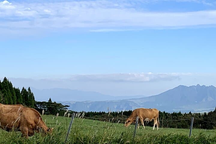2-Day Minibus Tours to Aso and Kumamoto, Takachiho from Fukuoka — photo 6