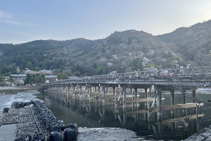 Kyoto 1 Day Charter Car Tour from Osaka or Kyoto — photo 6