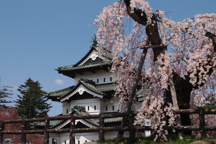 Full-Day Jomon World Heritage Site Tour in Hirosaki Area — photo 9