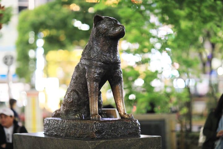 Visit Tokyo City in Group with the Italian Speaking Guide Full Day — photo 9