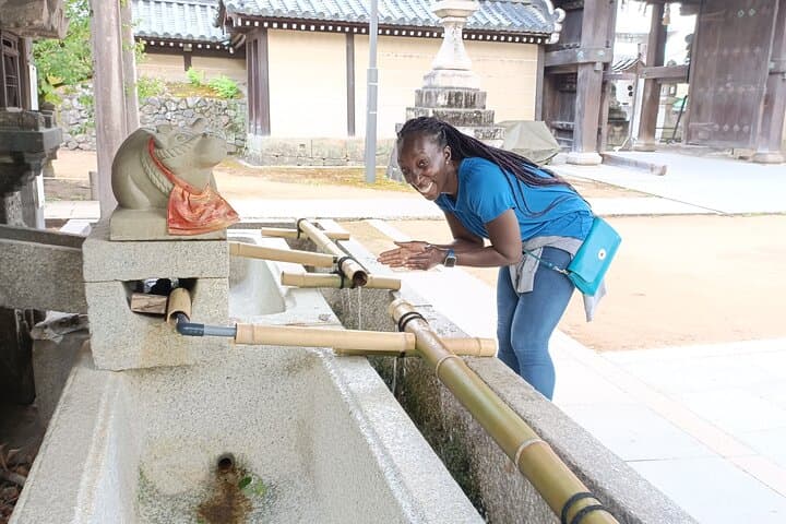 Full-Day Sightseeing to Kyoto Highlights — photo 4