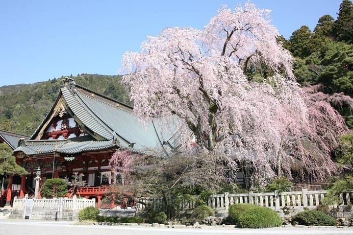 2-Day Private Guided Overnight Hike & Buddhist Temple Stay in Shichimenzan — photo 10