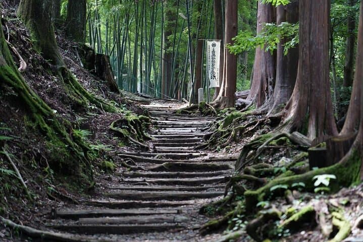 2-Day Private Guided Overnight Hike & Buddhist Temple Stay in Shichimenzan — photo 2
