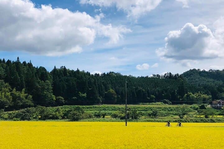Hiroshima Country Cycling: Explore Rural Life by E-Bike — photo 4