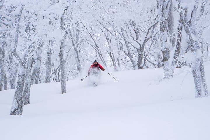 Ski or Snowboard Lesson in Shiga Kogen (4Hours) — photo 4