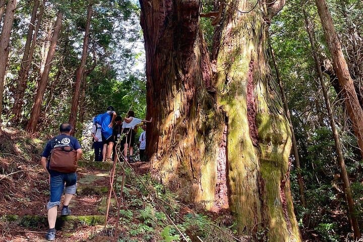 Private Guided Rural E Bike Mini tour in Aso Minamioguni — photo 3
