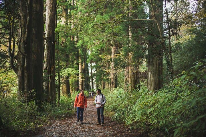 Custom Private Tour in Hakone with a Certified Local Guide — photo 4