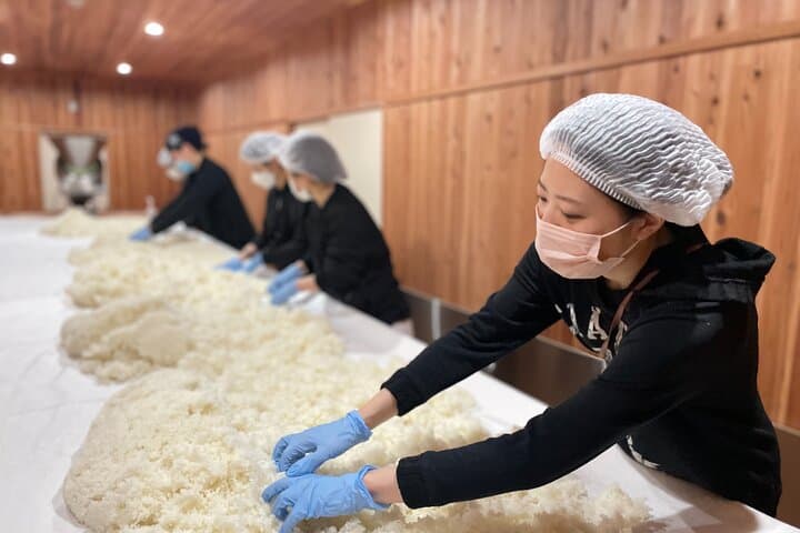 Be a Sake brewer for a Day!Study Abroad Sake at Amabuki sake brewery in Saga — photo 3