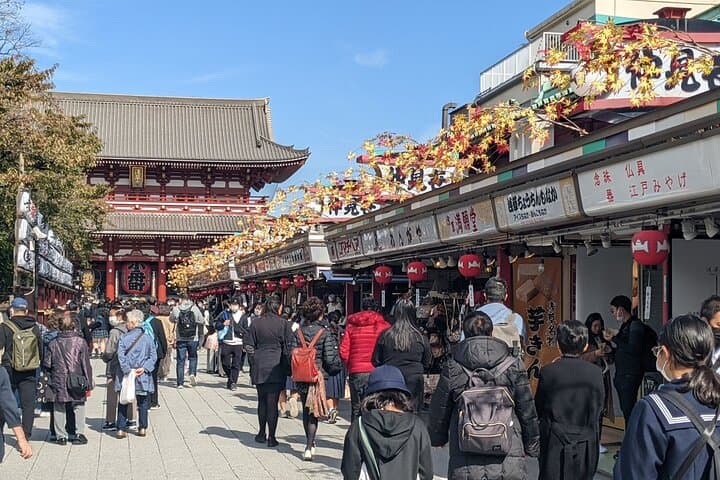 Tokyo Highlights Private Custom Tour with Licensed Guide & Driver — photo 10