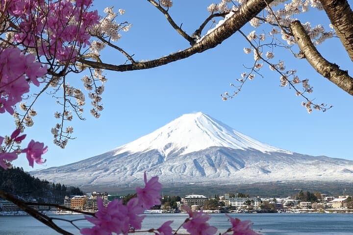 Mt Fuji Hidden Gem & Gotemba Premium Outlets with Local Driver — photo 5
