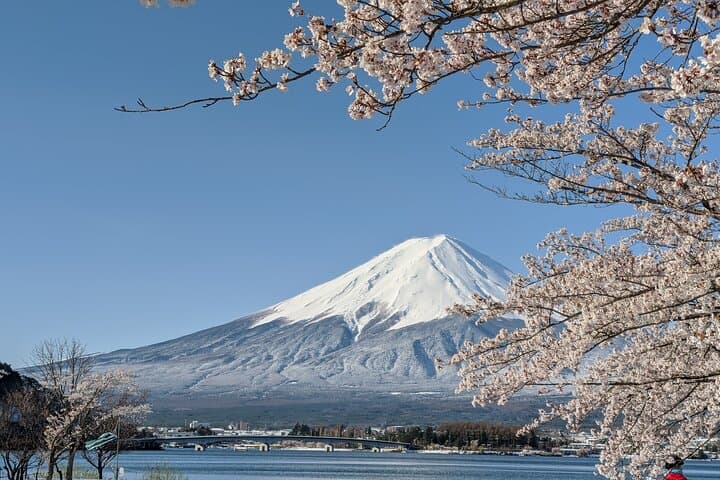 Mt Fuji Hidden Gem & Gotemba Premium Outlets with Local Driver — photo 18