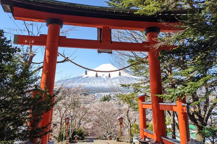 Mt Fuji Hidden Gem & Gotemba Premium Outlets with Local Driver — photo 2