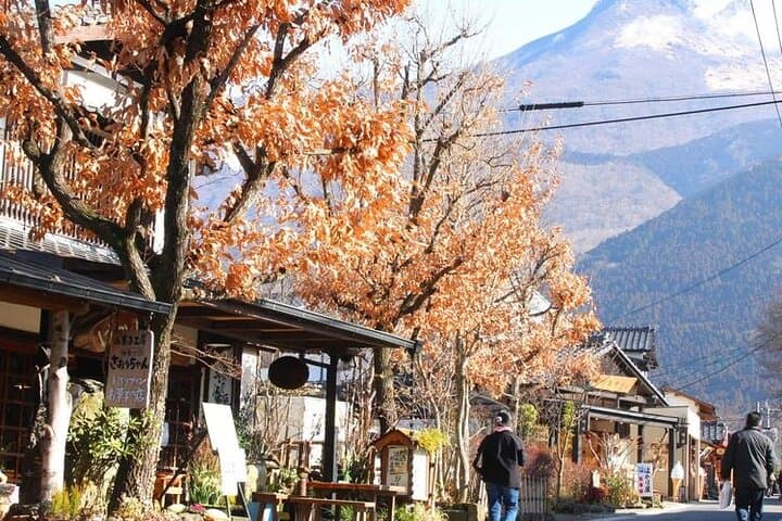 8-Day ONE WAY Bus Tour to Osaka from Fukuoka via BEPPU & SHIKOKU — photo 3