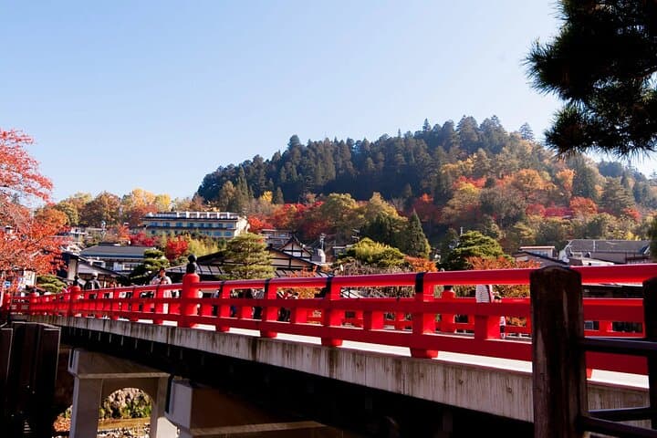 Half-Day Takayama Walking Tour with an English Speaking Guide — photo 9