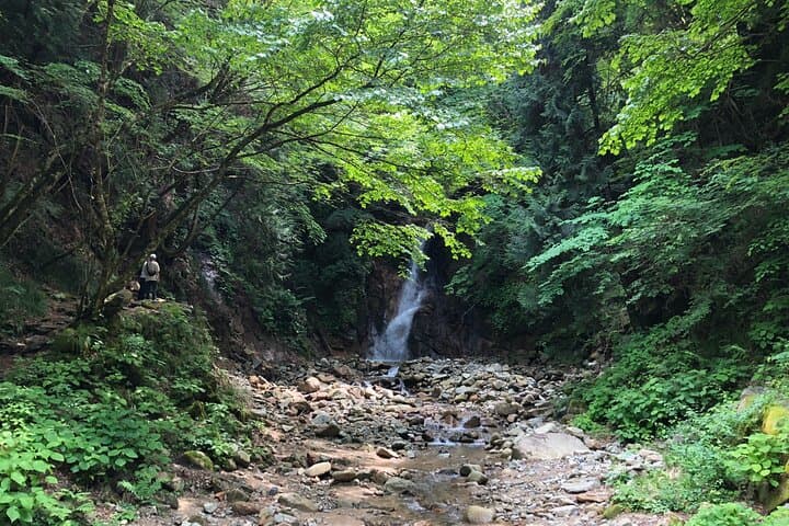 Explore Kiso Valley : Magome - Tsumago Mountain Trail Walk — photo 15