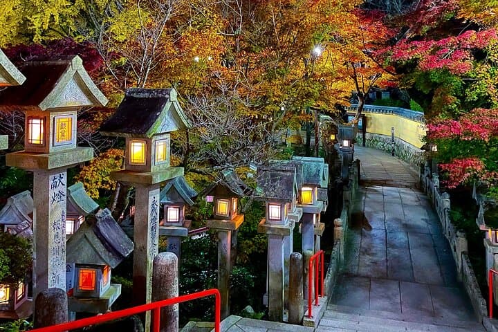 Hidden Gems of Osaka Kyoto Nara - Private Car Tour by Local Guide — photo 15