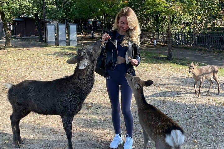 Private Nara Tour with Government Licensed Guide & Vehicle (Osaka Departure) — photo 9
