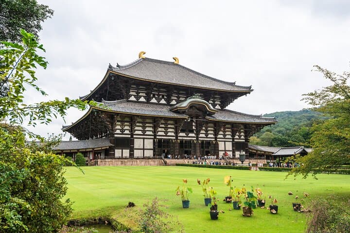 Private Nara Tour with Government Licensed Guide & Vehicle (Kyoto Departure) — photo 12