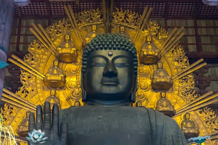 Private Nara Tour with Government Licensed Guide & Vehicle (Kyoto Departure) — photo 13