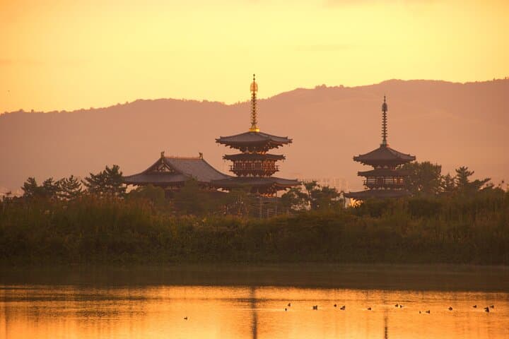 Private Nara Tour with Government Licensed Guide & Vehicle (Kyoto Departure) — photo 15