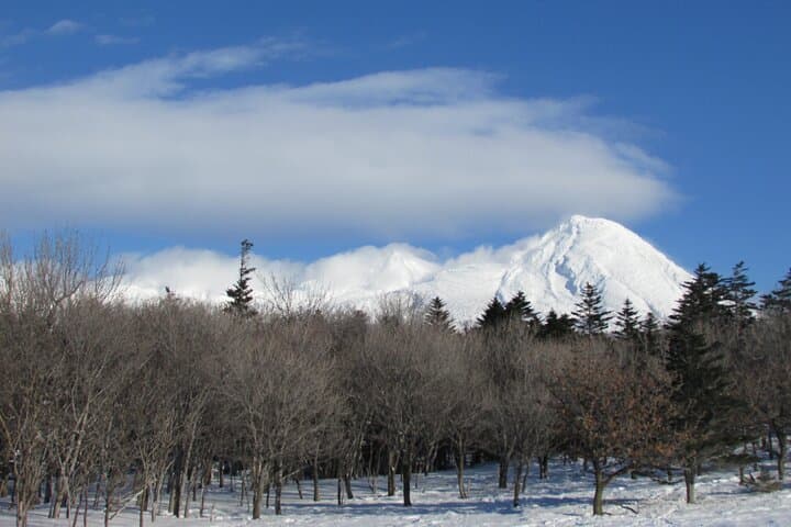 3.5hours Primeval Forest Snowshoe hike and Wildlife Watching Tour — photo 4