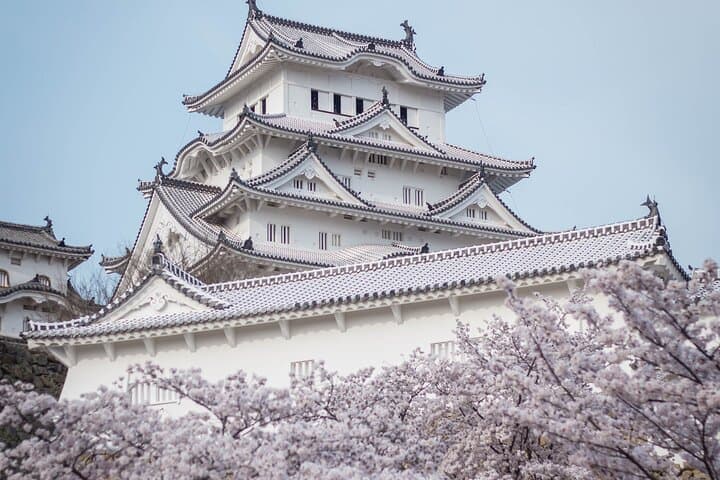 9-Day Japan and South Korea Highlight Tour — photo 4