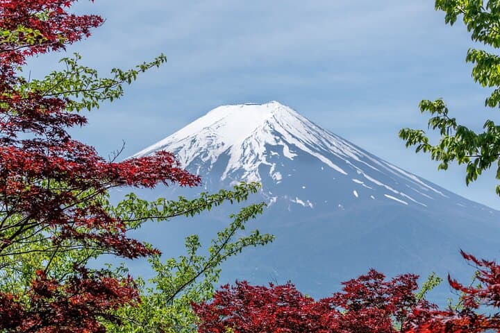2-Day Tour-The Best of Japan — photo 3