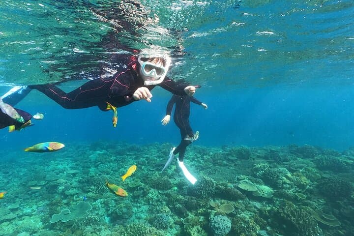 Okinawa : Boat Snorkeling 1 Round at Minna, Sesoko or Motobu — photo 4