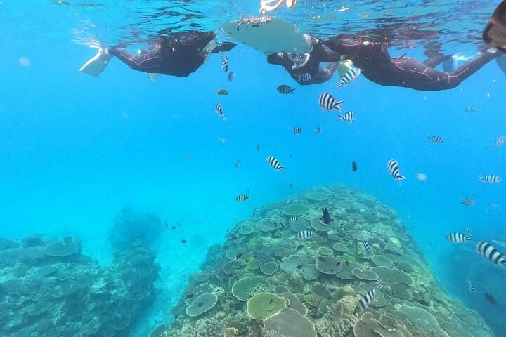 Okinawa: Boat Snorkeling 2 Rounds at Minna, Sesoko or Motobu — photo 2