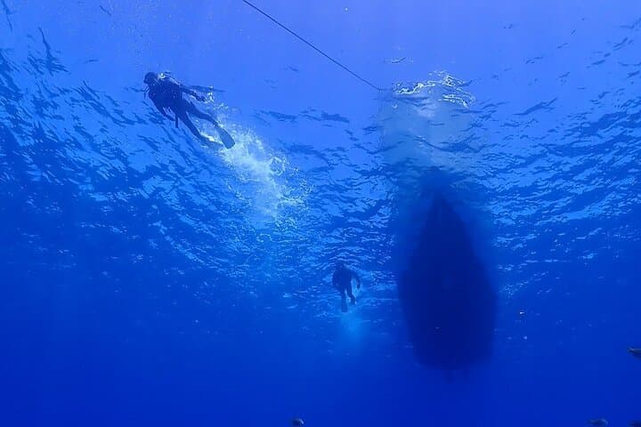 Okinawa: Boat Fun Diving at Minna, Sesoko or Motobu — photo 3