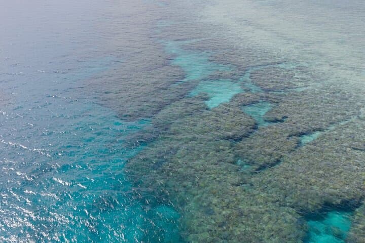 Okinawa: Boat Fun Diving at Minna, Sesoko or Motobu — photo 6