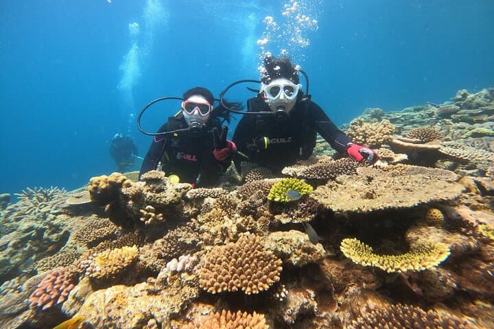 Okinawa: Discover SCUBA Diving 1 Dive at Minna, Sesoko or Motobu — photo 2