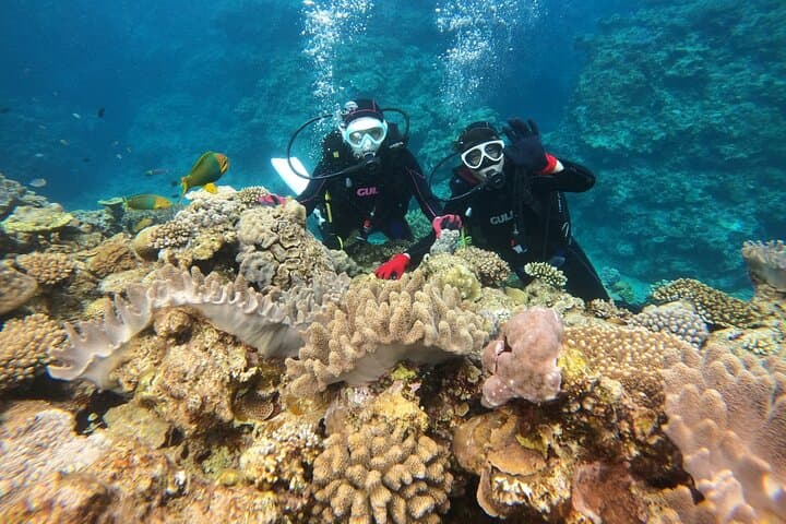 Okinawa: Discover SCUBA Diving 1 Dive at Minna, Sesoko or Motobu — photo 3