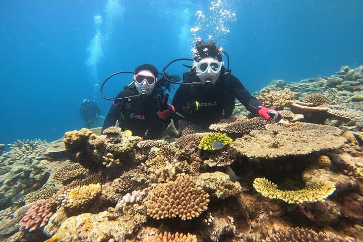 Okinawa: Discover SCUBA Diving 2 Dives at Minna, Sesoko or Motobu — photo 2