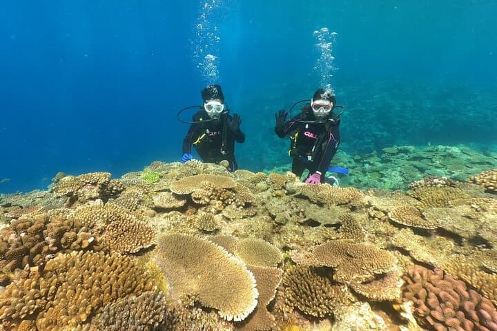 Okinawa: Discover SCUBA Diving 2 Dives at Minna, Sesoko or Motobu — photo 3