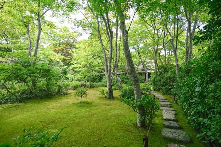 Kyoto Arashiyama Bamboo forest & Hidden Garden Walking Tour — photo 19