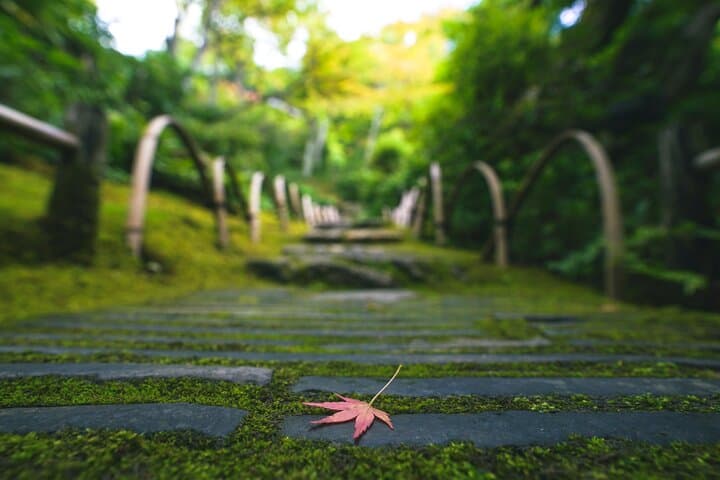Kyoto Arashiyama Bamboo forest & Hidden Garden Walking Tour — photo 13