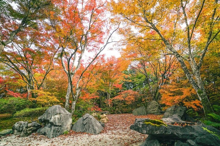 Kyoto Arashiyama Bamboo forest & Hidden Garden Walking Tour — photo 9