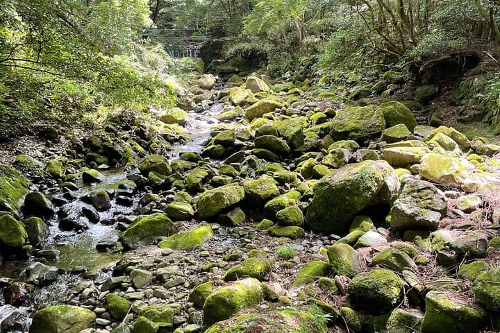 Mt. Inunaki Trekking and Waterfall Training in Izumisano Osaka — photo 6