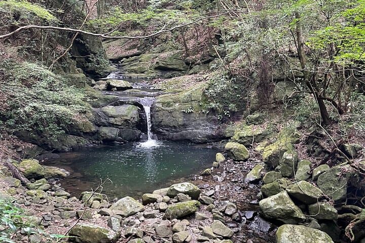 Mt. Inunaki Trekking and Waterfall Training in Izumisano Osaka — photo 8