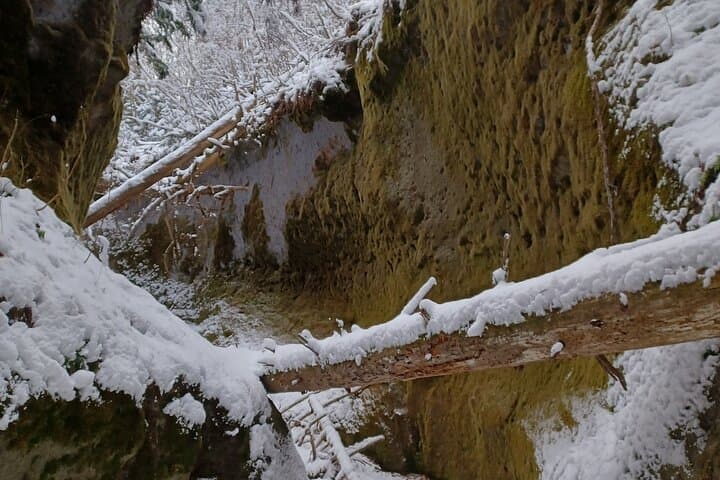 Private Day Trip of Lake Shikotsu and Moss Canyon — photo 7