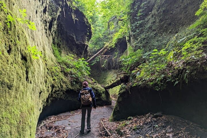 Private Day Trip of Lake Shikotsu and Moss Canyon — photo 3