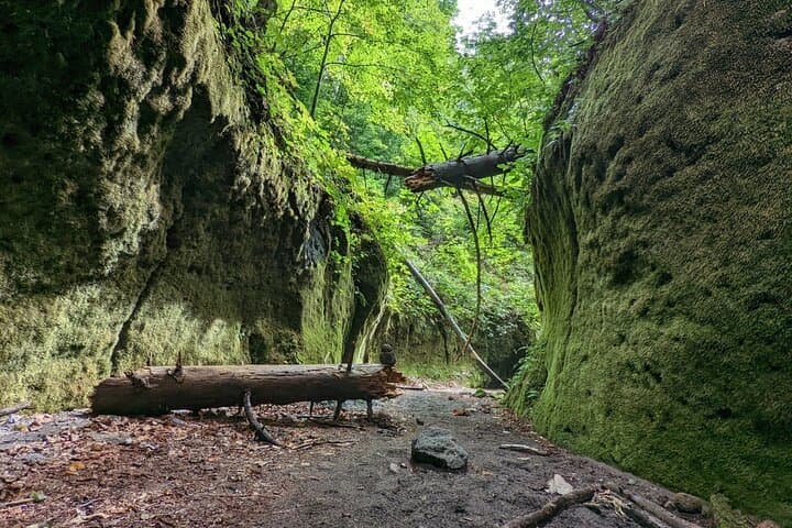 Private Day Trip of Lake Shikotsu and Moss Canyon — photo 4