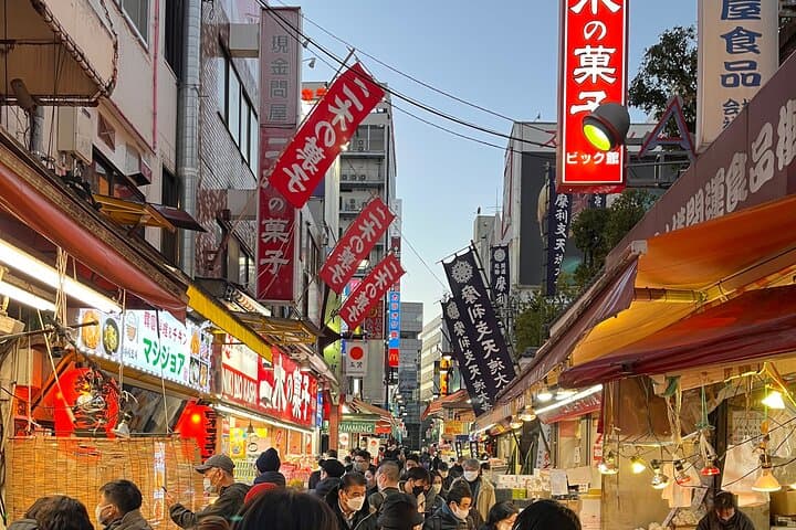Private Half-Day Tour Colorful and Busy Street in Central Tokyo — photo 4