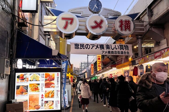 Private Half-Day Tour Colorful and Busy Street in Central Tokyo — photo 6