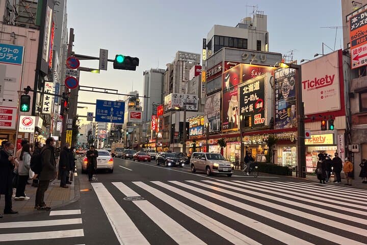 Private Half-Day Tour Colorful and Busy Street in Central Tokyo — photo 7