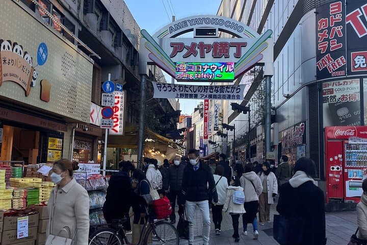 Private Half-Day Tour Colorful and Busy Street in Central Tokyo — photo 12