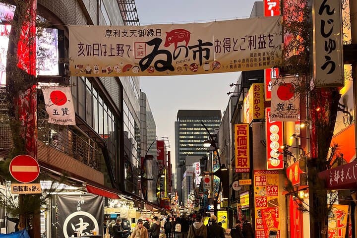 Private Half-Day Tour Colorful and Busy Street in Central Tokyo — photo 14
