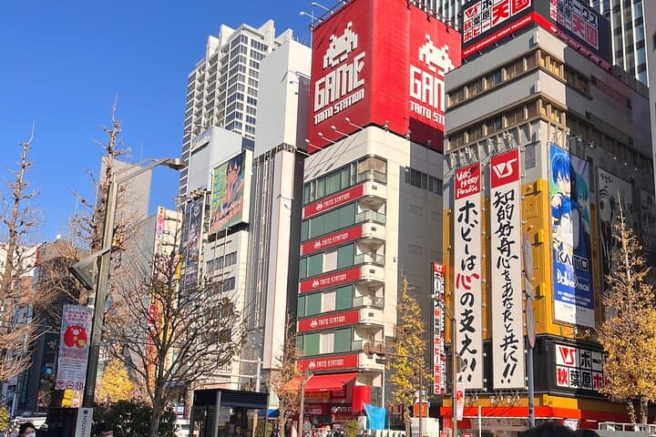 Private Half-Day Tour Colorful and Busy Street in Central Tokyo — photo 18