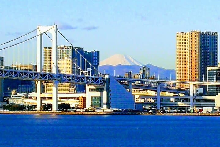 Complete Tuna Auction & Toyosu Market Tour with Fumi — photo 19